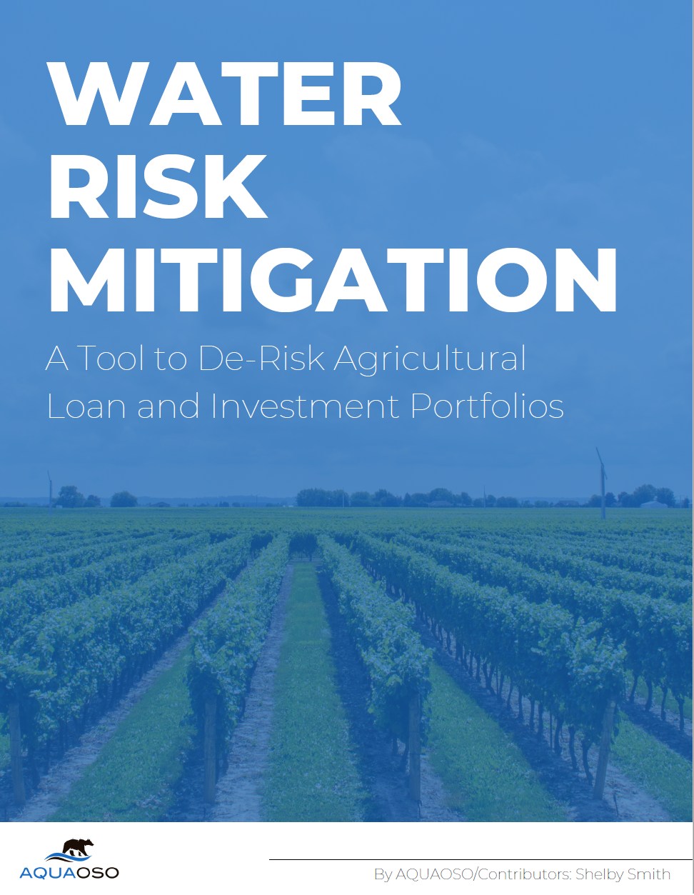 Mitigation White Paper Cover Page Real