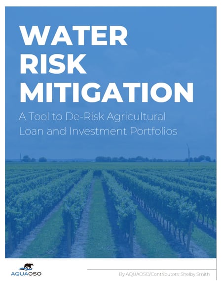 Mitigation White Paper Cover Page with Border